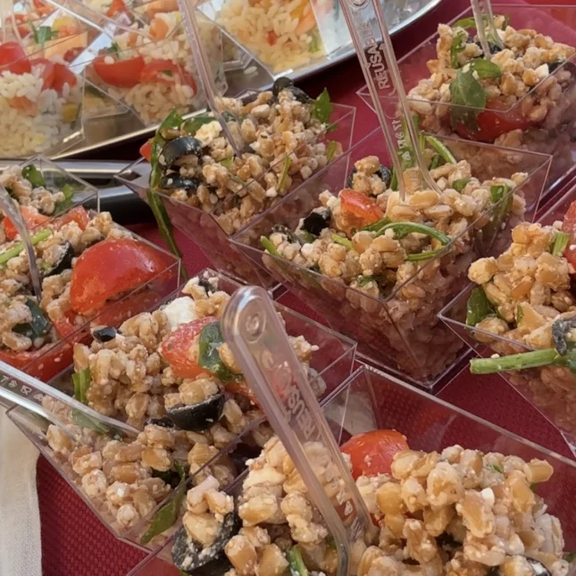catering 10